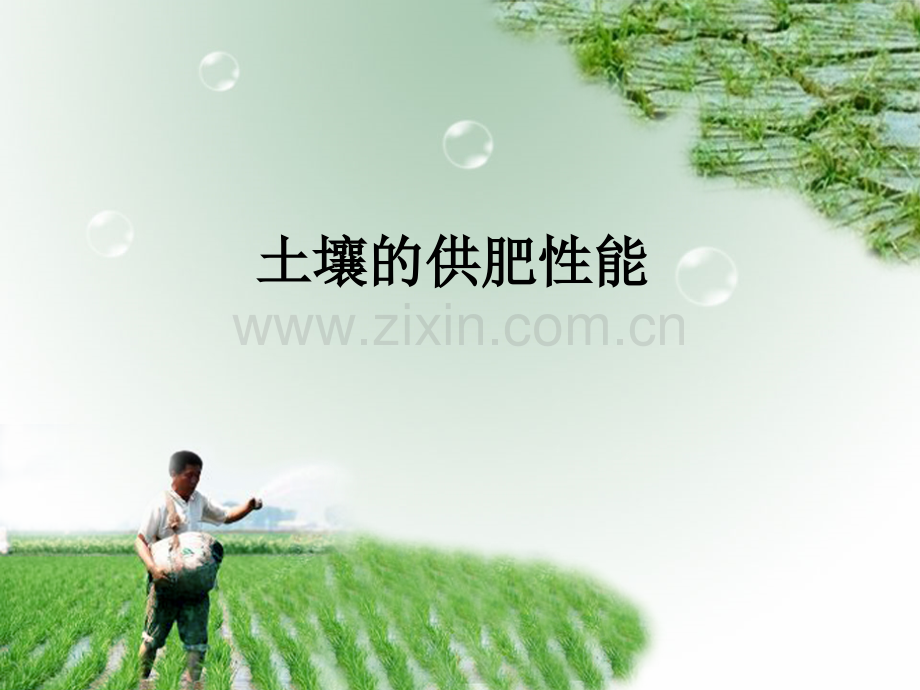 2土壤供肥性定义学习内容土壤中速效养分含量迟效养分转化成速效.pptx_第1页