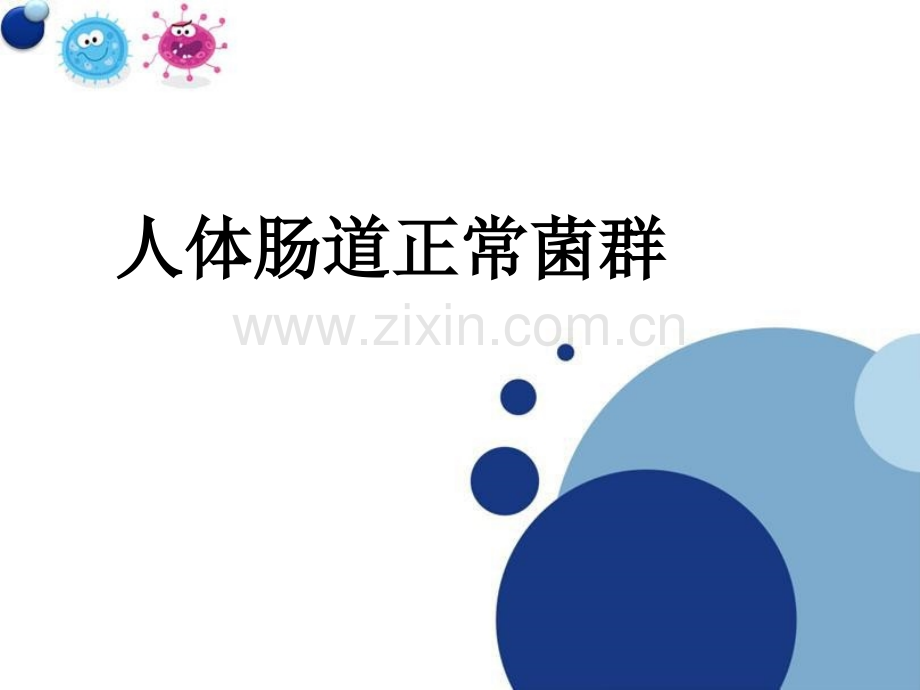 人体肠道菌群.pptx_第1页