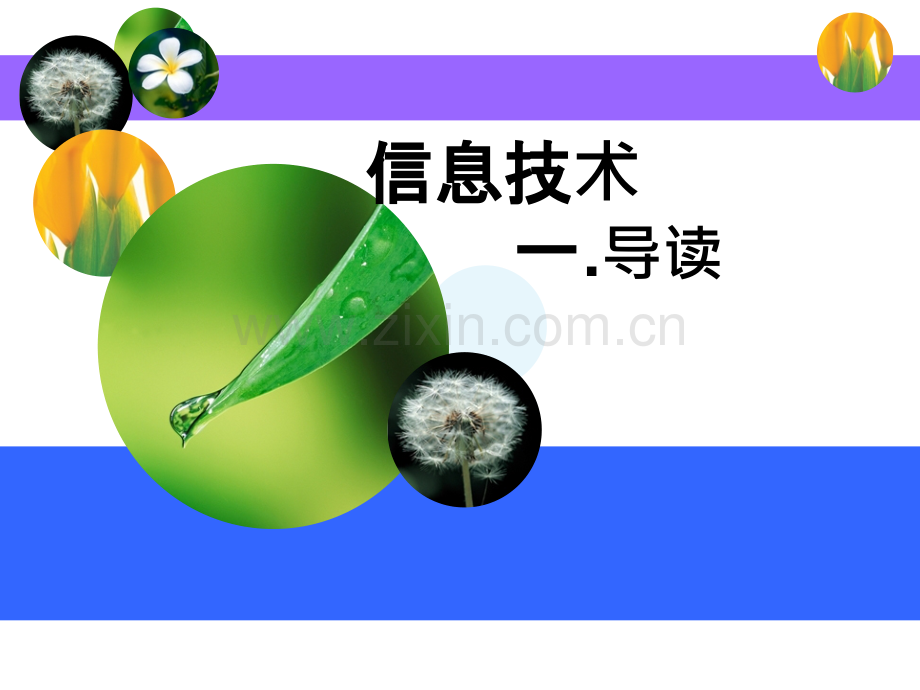信息及其特征详解.pptx_第1页