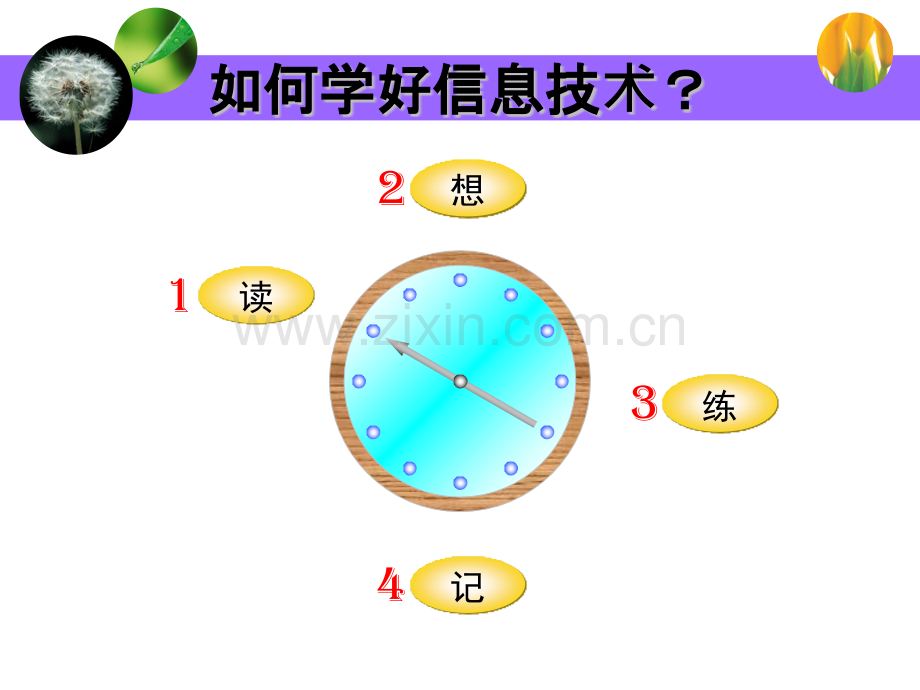 信息及其特征详解.pptx_第2页