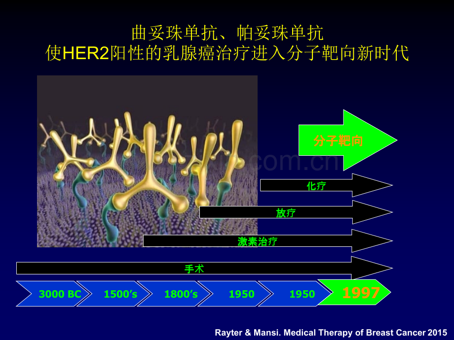 HER2阳性复发转移乳腺癌诊疗策略.pptx_第2页
