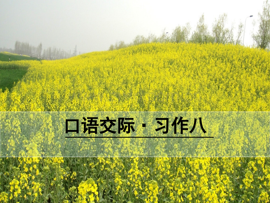 五年级语文上册语文园地八.pptx_第1页