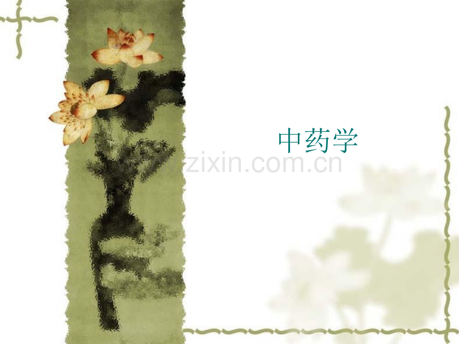 中医学之——中药学.pptx_第1页