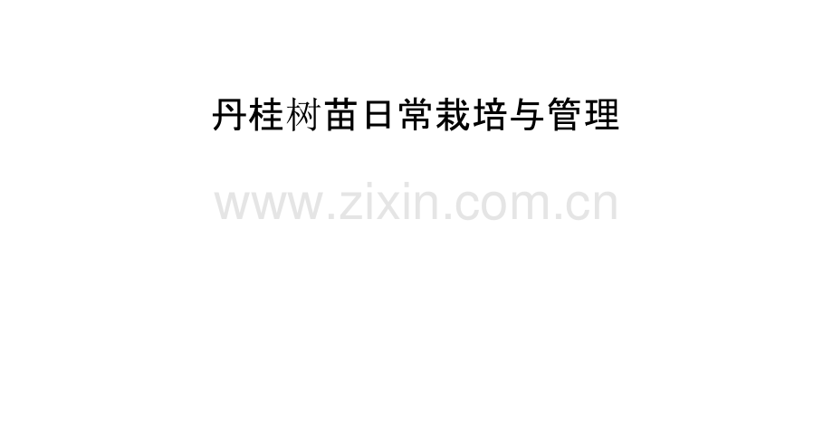 丹桂树苗日常栽培与管理.pptx_第1页