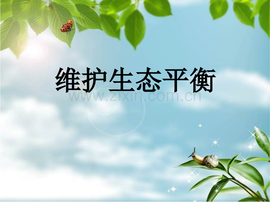 五年级科学维护生态平衡.pptx_第1页