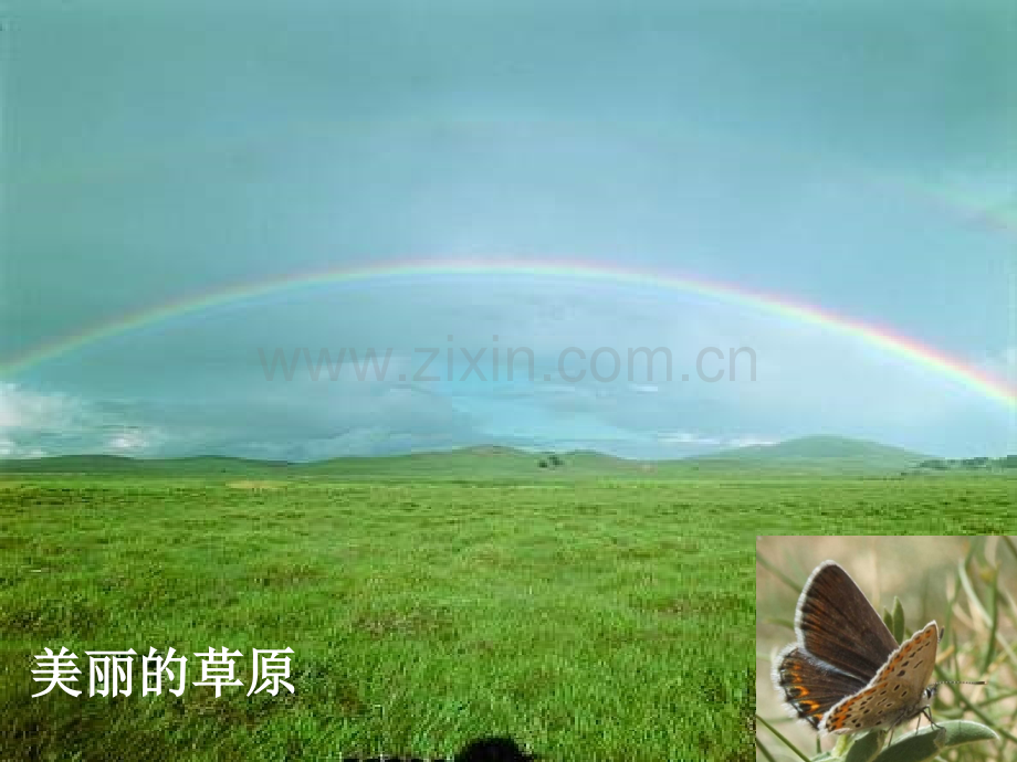 五年级科学维护生态平衡.pptx_第2页