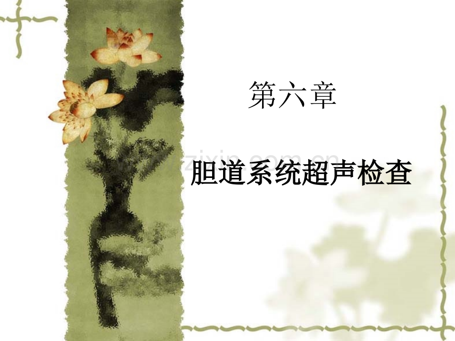 3胆囊超声诊断.pptx_第1页