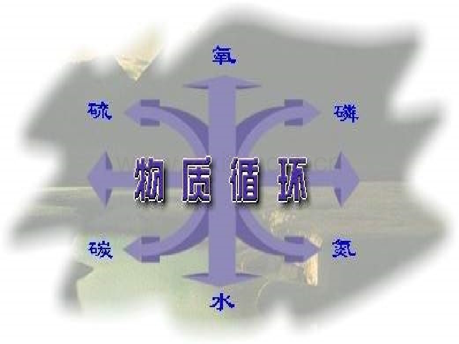 人教版必修3高中生物生态系统的物质循环.pptx_第2页
