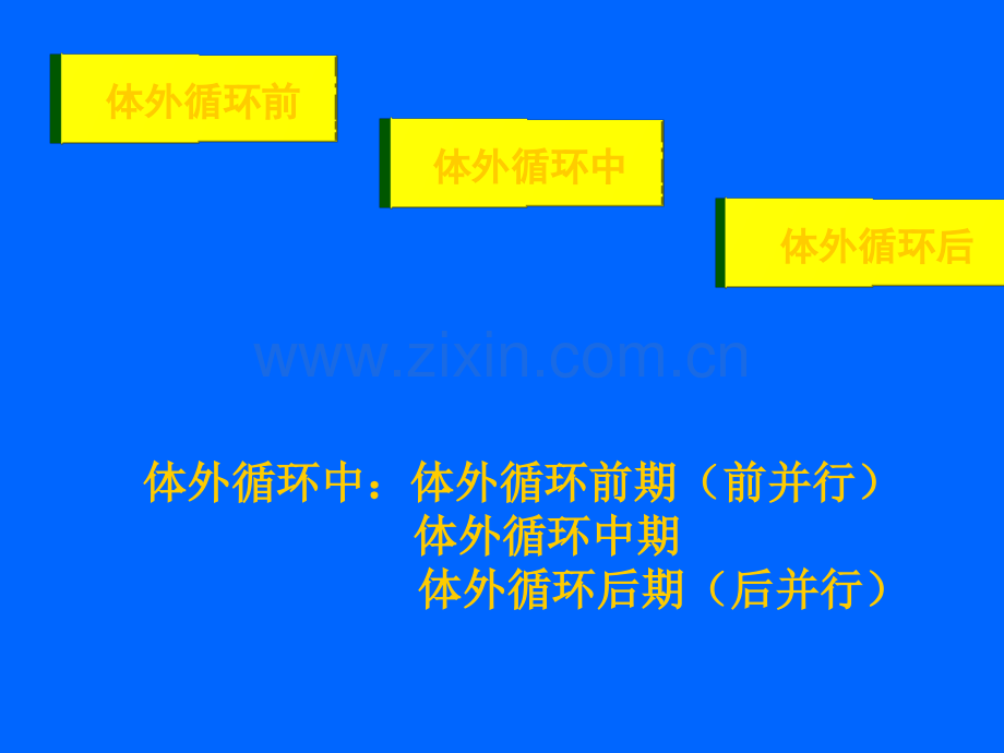 体外循环管理.pptx_第2页