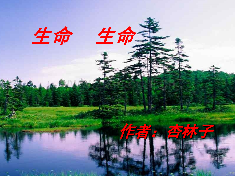 3生命生命PPT课件.pptx_第1页