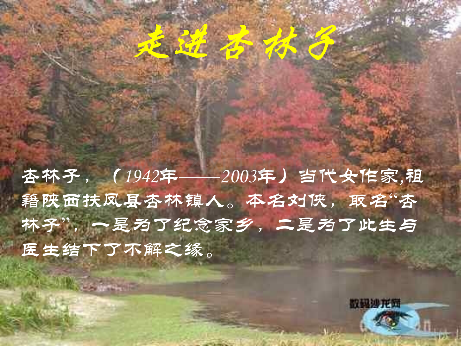 3生命生命PPT课件.pptx_第2页