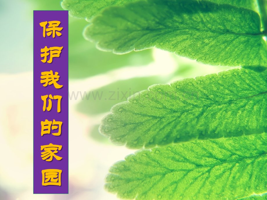 保护我们的家园.pptx_第1页