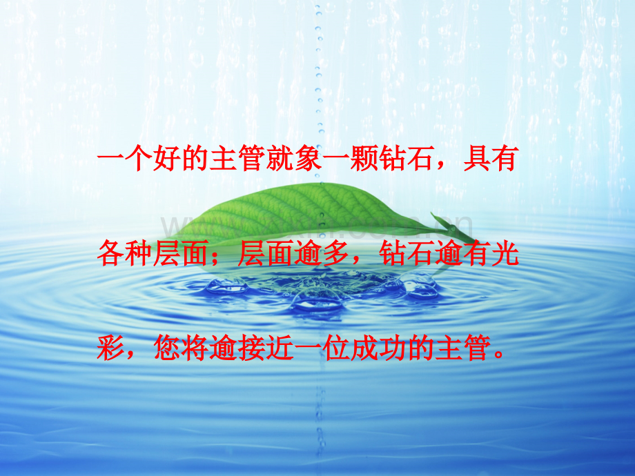 做一名成功的主管.pptx_第2页