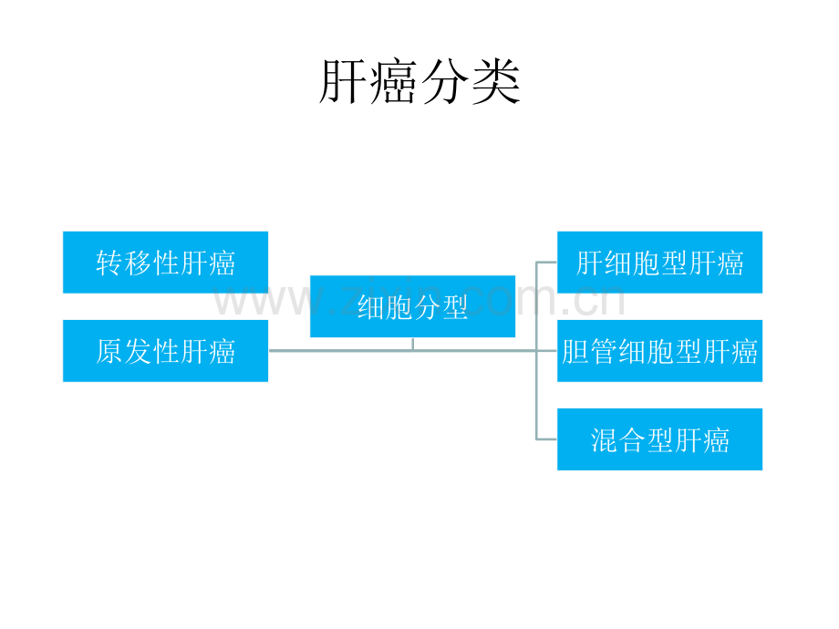 HCC研究现状治疗前景与方案.pptx_第2页