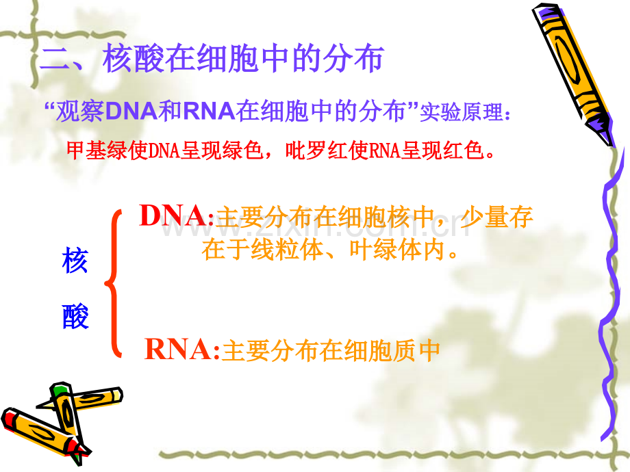人教版教学云南省弥勒县庆来中学2011高一生物-23-遗传信息携带者——核算.pptx_第2页