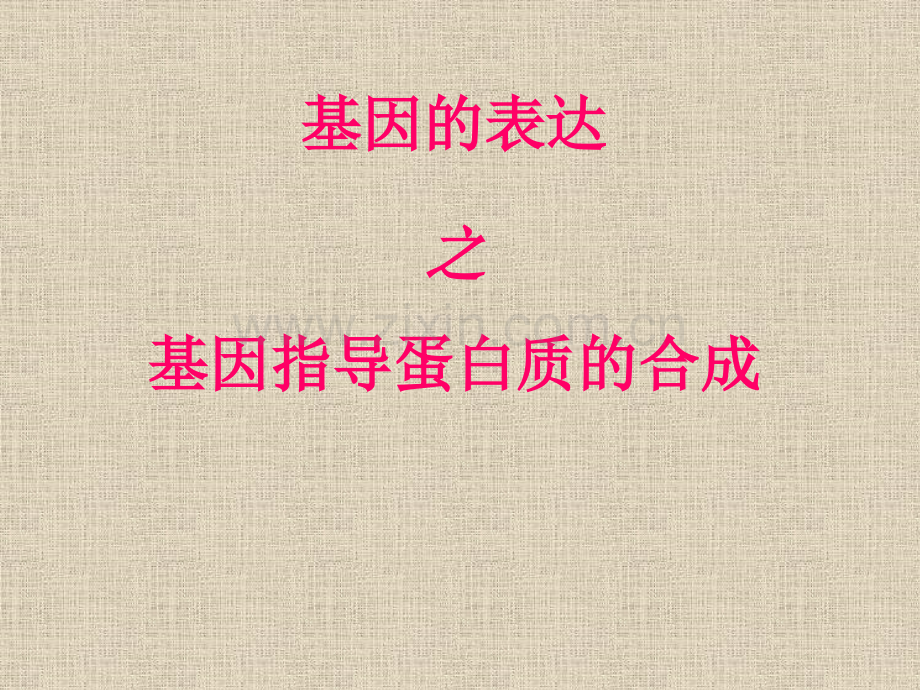 41基因指导蛋白质合成新人教版必修.pptx_第1页
