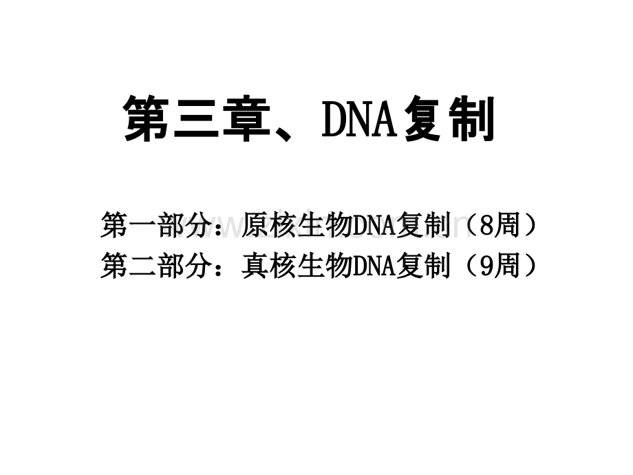 3DNA复制.pptx_第1页