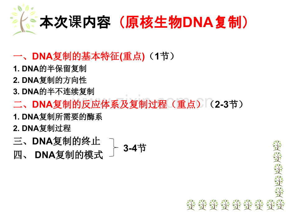 3DNA复制.pptx_第2页