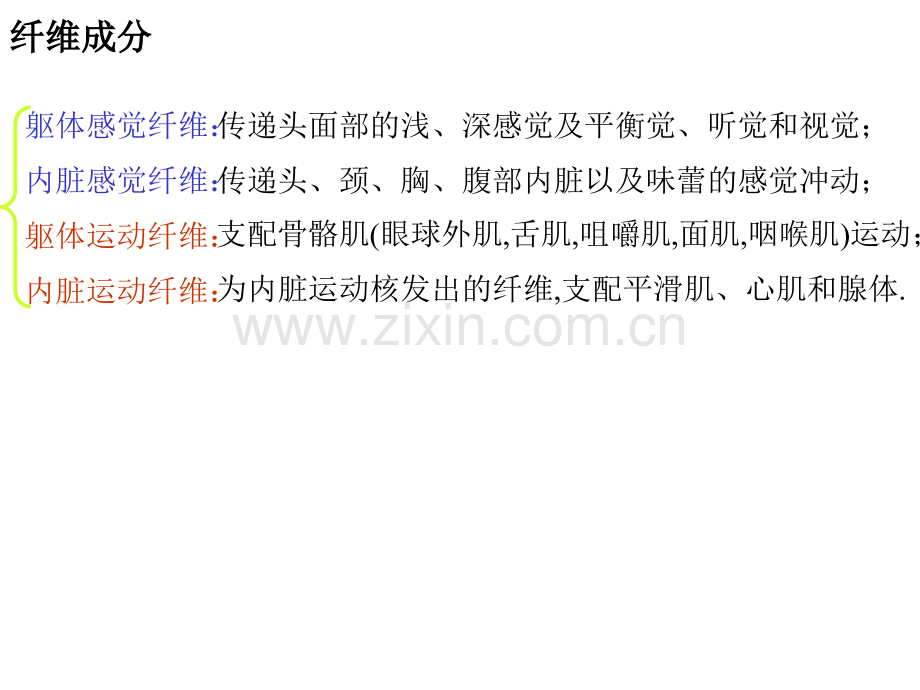 31脑神经概述.pptx_第2页