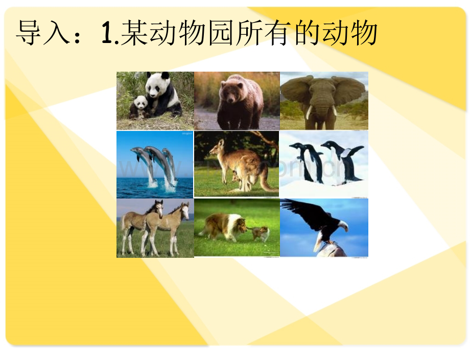 中职数学11集合的概念.pptx_第2页