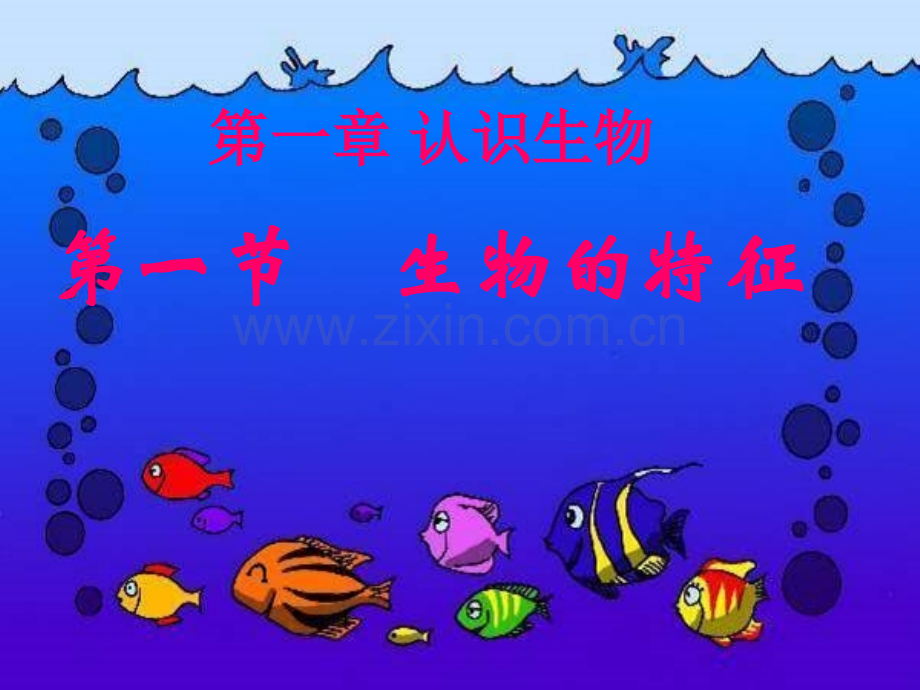七年级生物认识生物生物的特征人教版.pptx_第1页