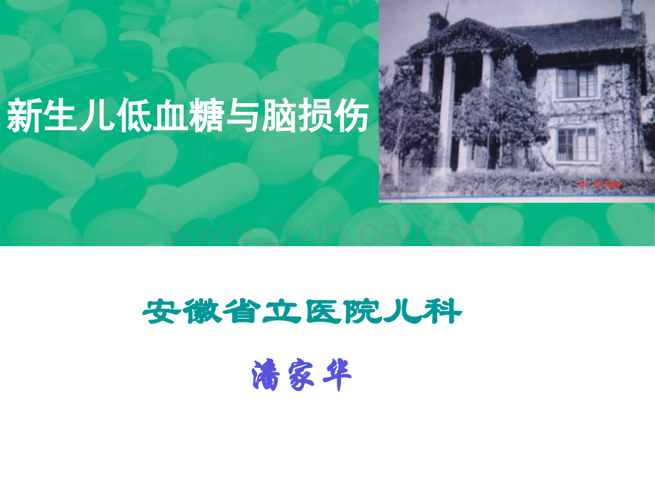 低血糖与脑损伤.pptx_第1页