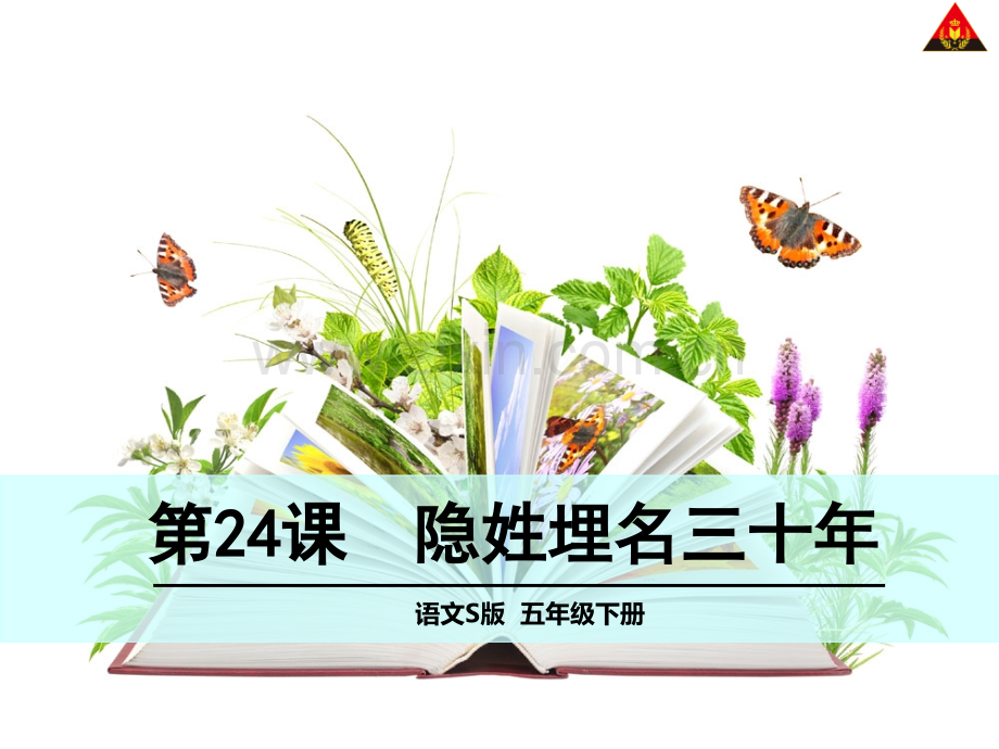 24-隐姓埋名三十年.pptx_第1页