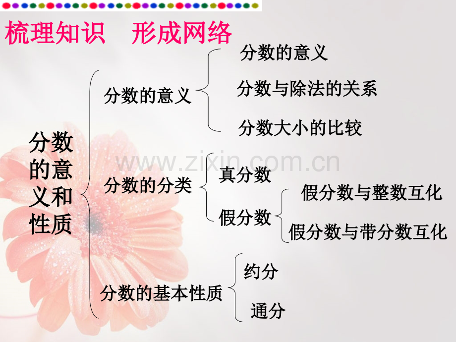 人教分数的意义和性质复习.pptx_第2页