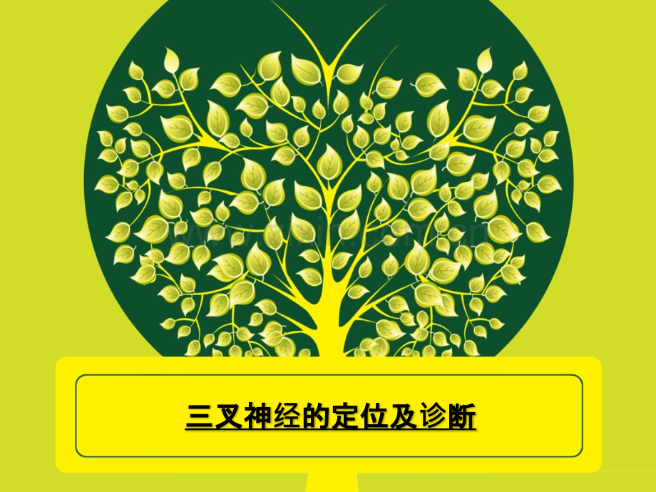 三叉神经定位及诊断.pptx_第1页