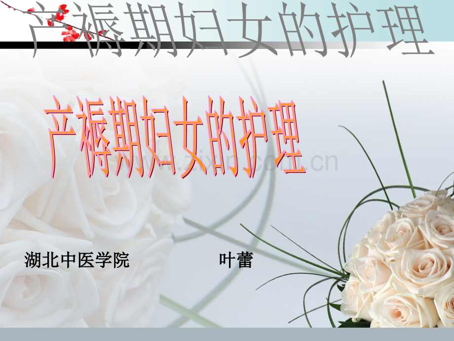 产褥期常见问题.pptx_第2页