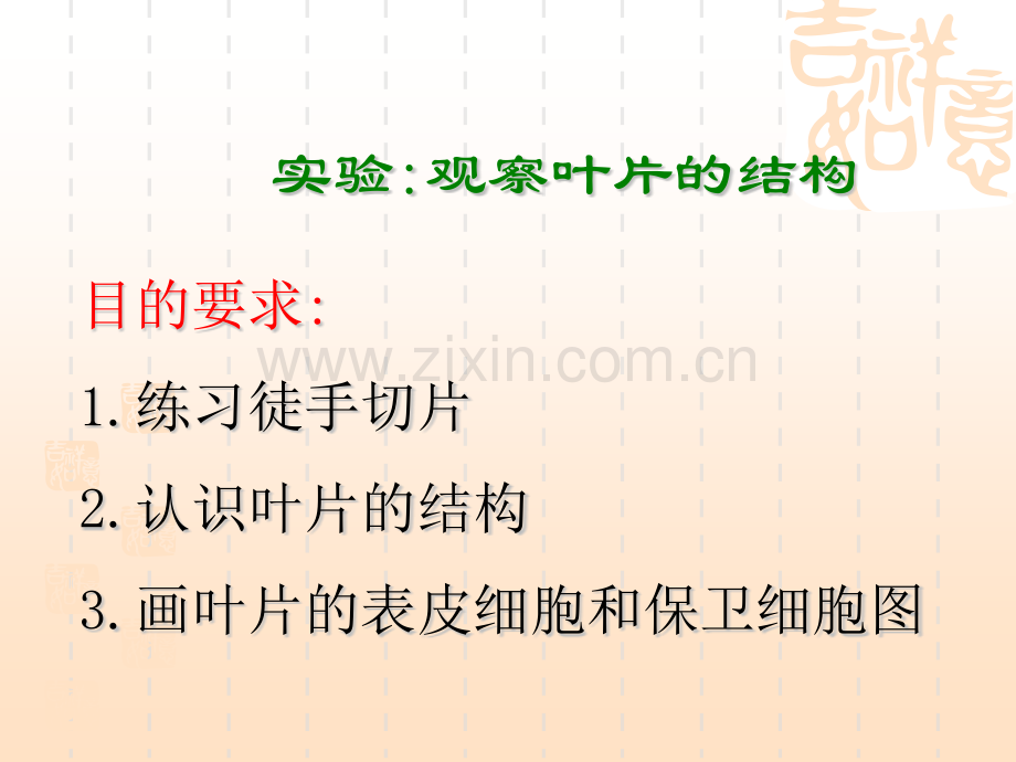 光合作用的场所121张冀教版八年级上.pptx_第2页