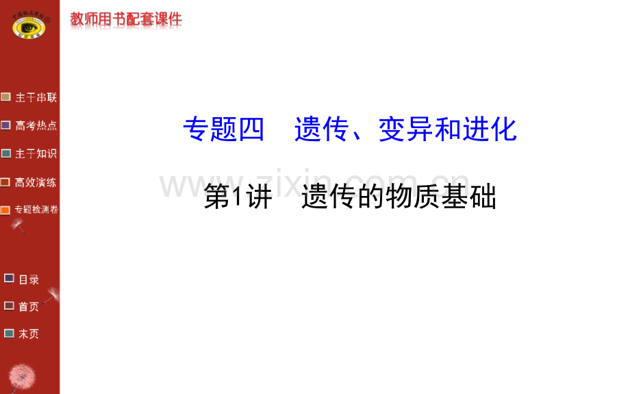 专题四--遗传的物质基础.pptx_第1页