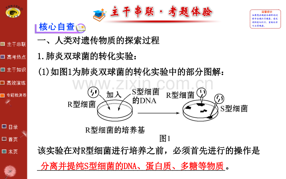 专题四--遗传的物质基础.pptx_第2页