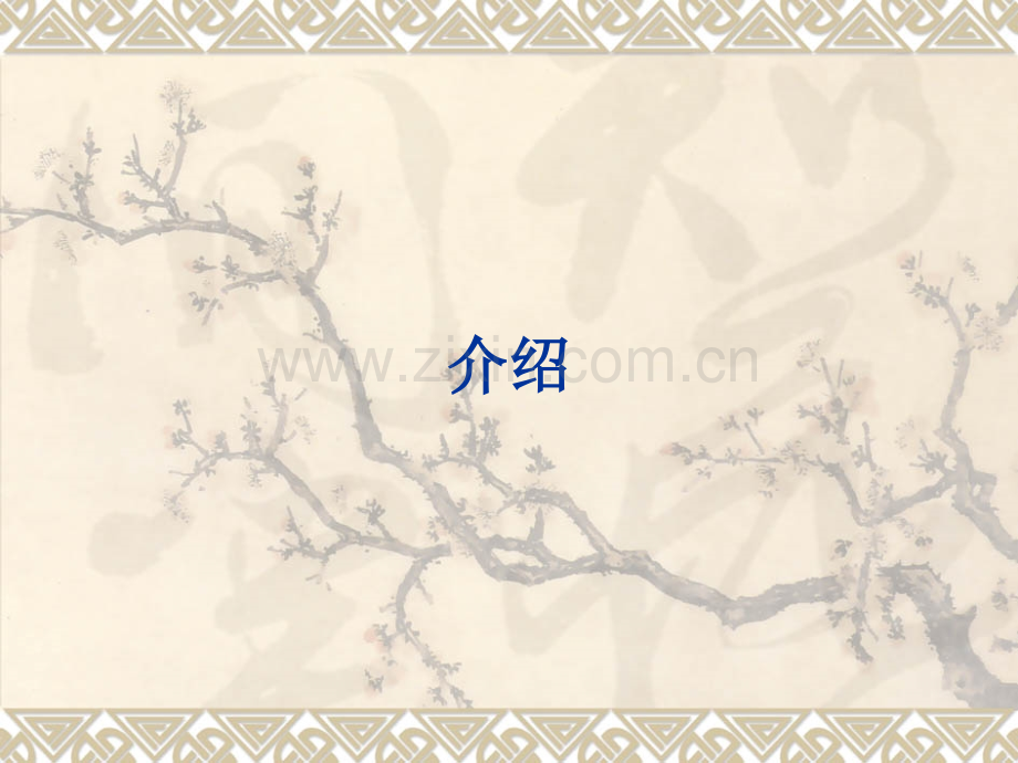 AO内固定幻灯.pptx_第1页