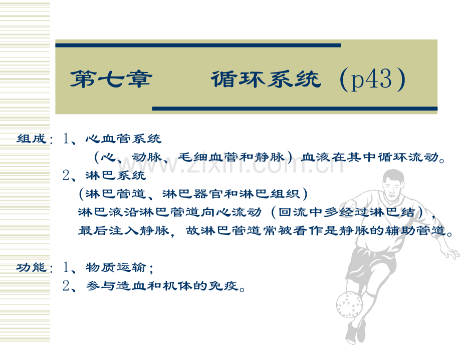 4-循环系统.pptx_第1页