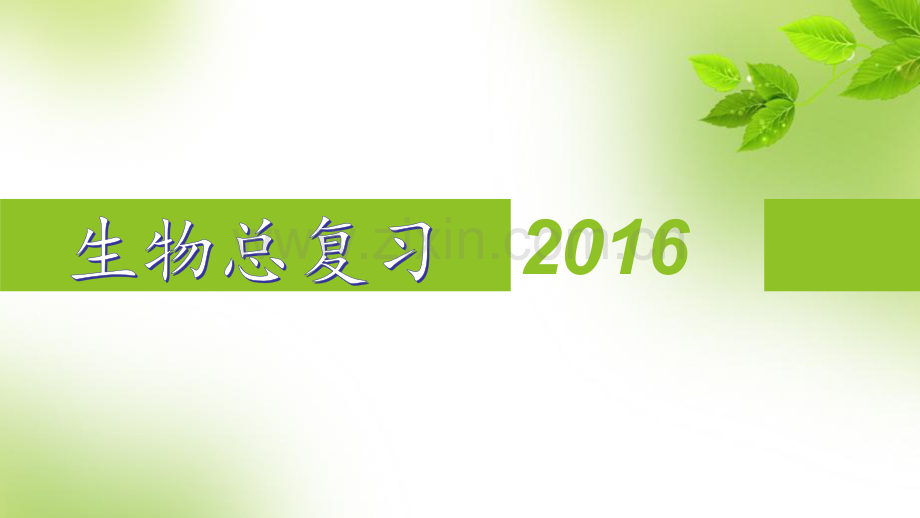 八年级上生物总复习知识要点.pptx_第1页