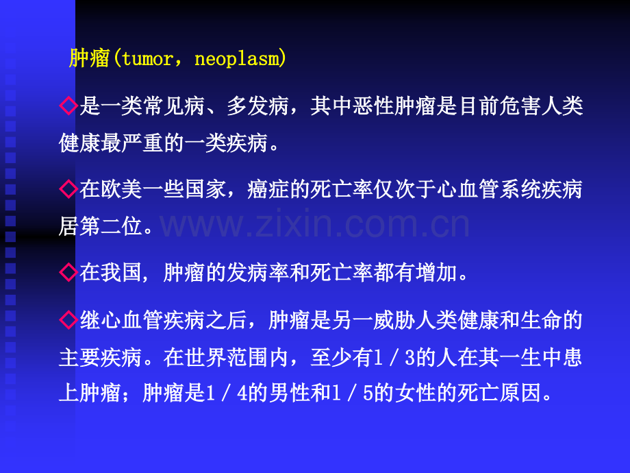 6肿瘤形成基本理论.pptx_第2页