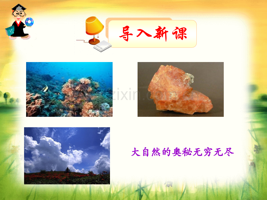 41物质性质的研究剖析.pptx_第1页