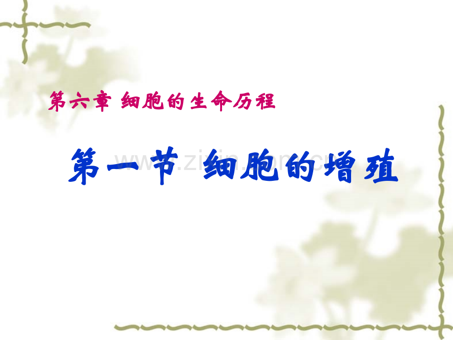人教版必修1分子与细胞细胞增殖.pptx_第1页