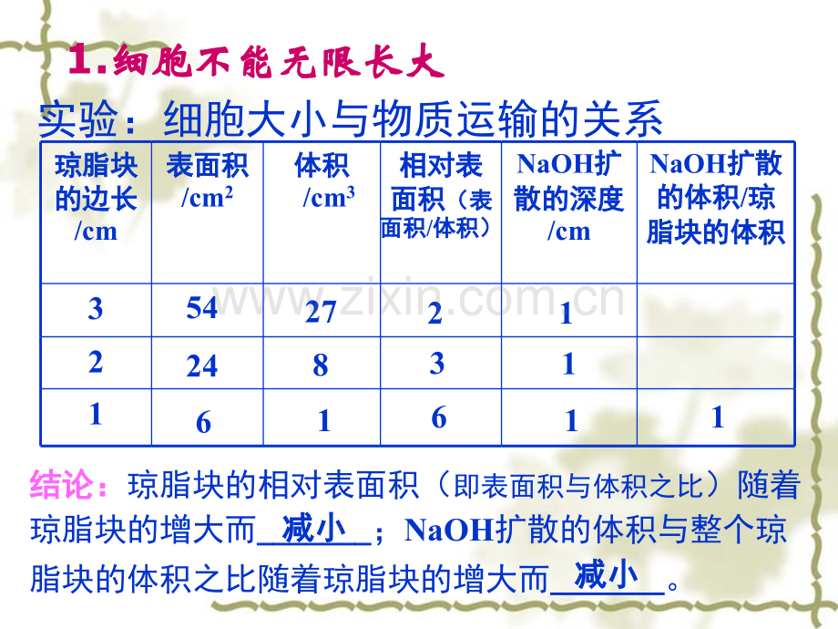 人教版必修1分子与细胞细胞增殖.pptx_第2页