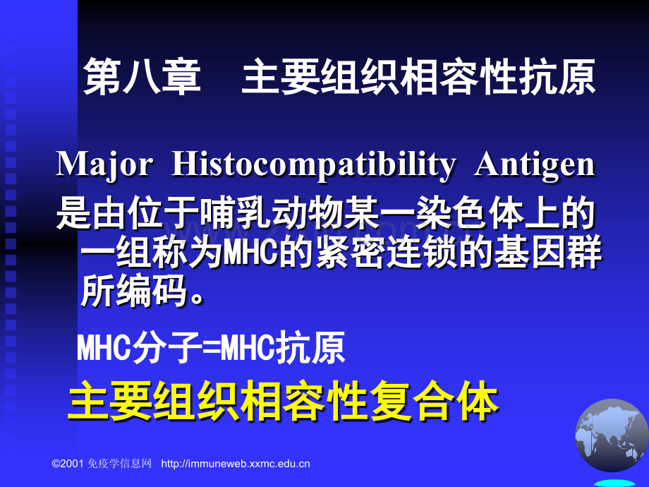 主要组织相容性复合体及其编码分子.pptx_第1页