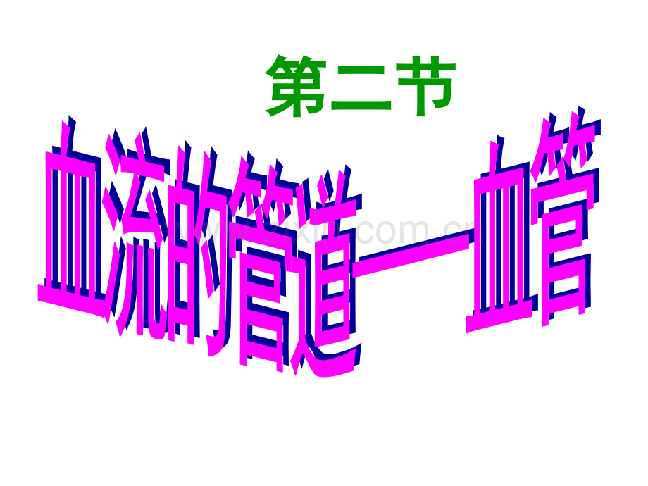 七年级生物下册血流的管道血管人教新课标.pptx_第1页