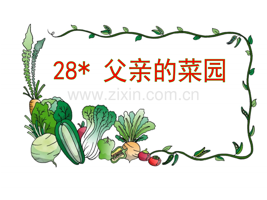 28父亲的菜园.pptx_第1页