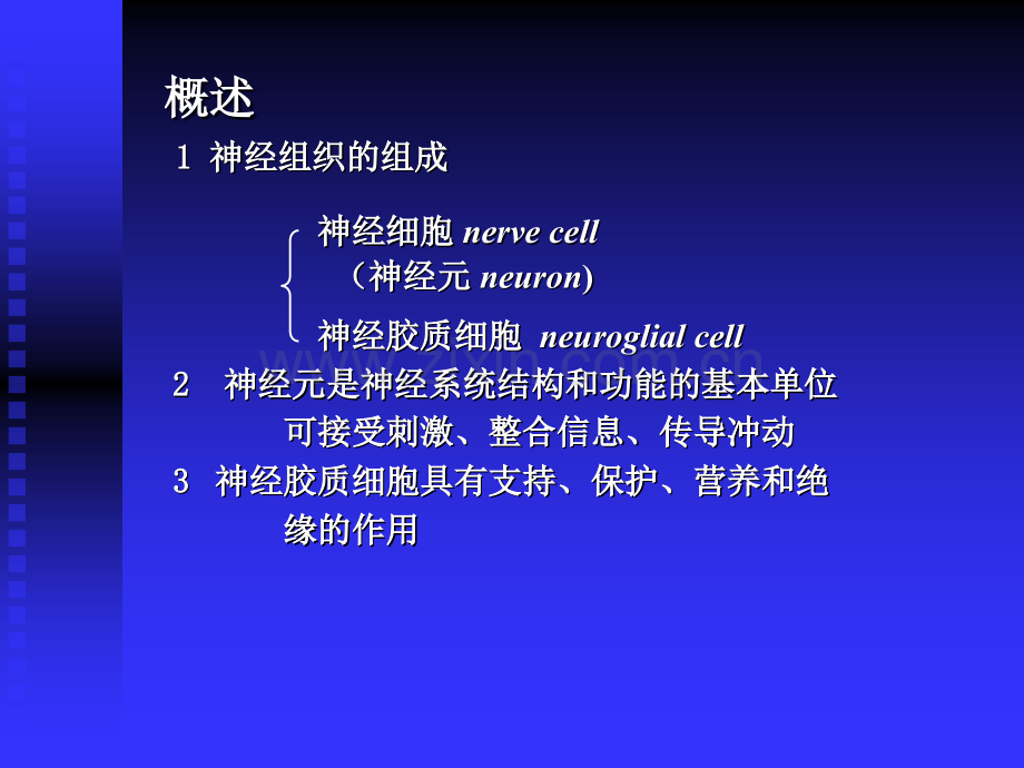 七神经组织.pptx_第1页