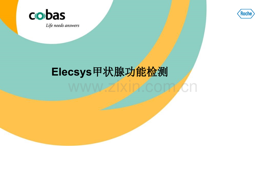 13Elecsys甲状腺功能检测.pptx_第1页