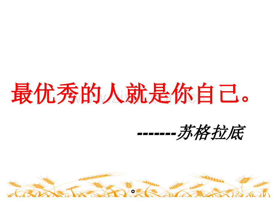 16最大的麦穗公开课.pptx_第1页