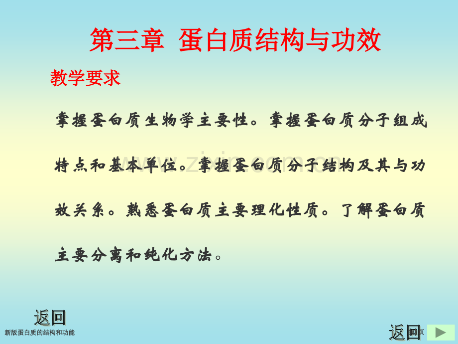 新版蛋白质的结构和功能.pptx_第1页