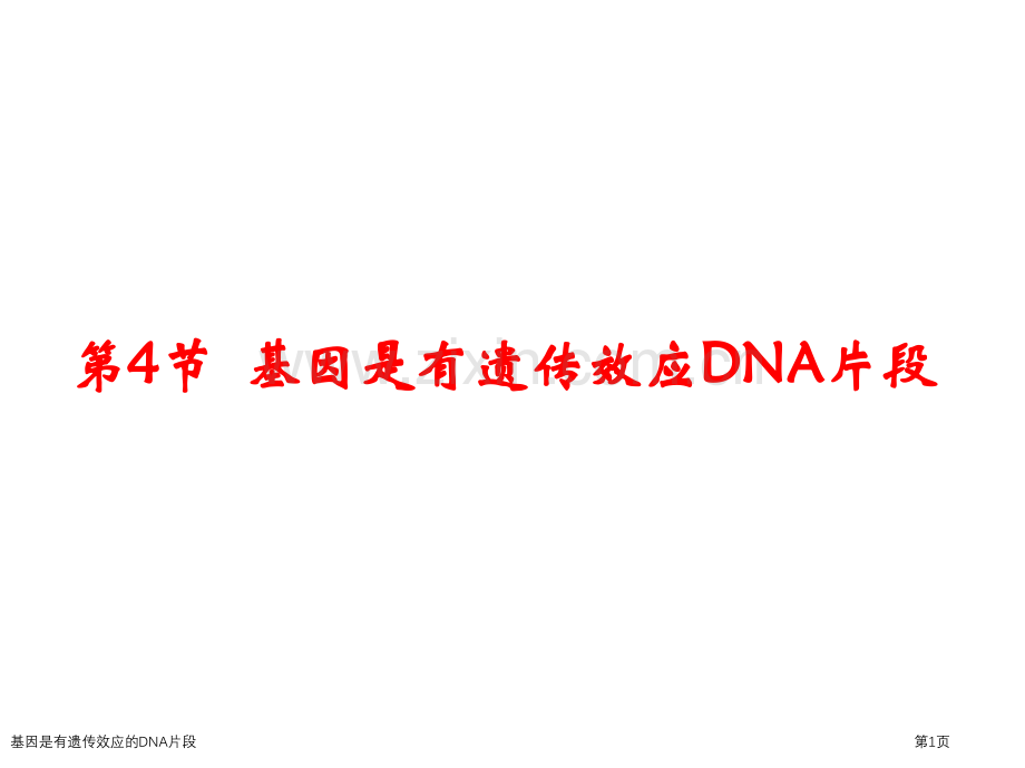 基因是有遗传效应的DNA片段专家讲座.pptx_第1页