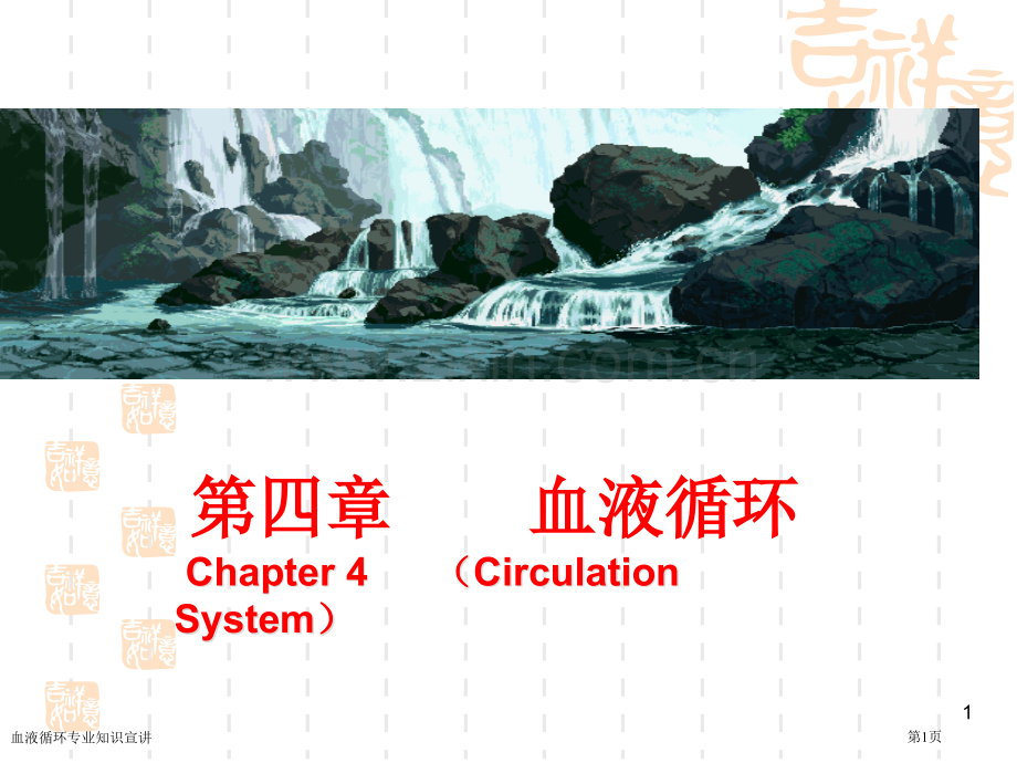 血液循环专业知识宣讲专家讲座.pptx_第1页