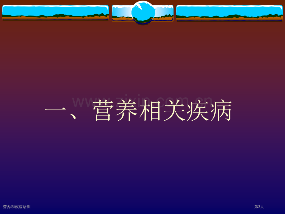 营养和疾病培训专家讲座.pptx_第2页